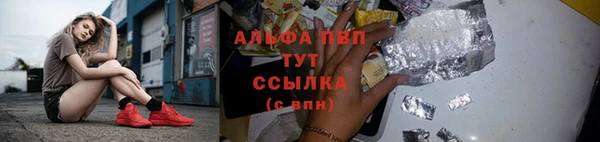 гидра Красноперекопск
