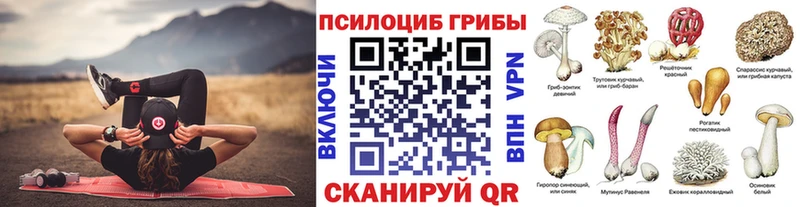 Галлюциногенные грибы мицелий  даркнет состав  Ногинск 